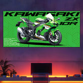 ZX10R Split Poster