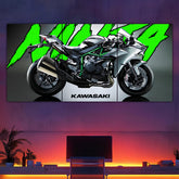 Ninja Kawasaki H2 Split Poster