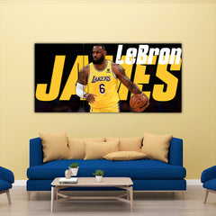 Lebron James Split Poster #2