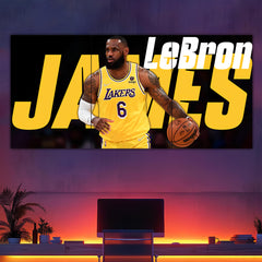 Lebron James Split Poster #2