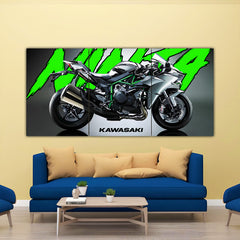 Ninja Kawasaki H2 Split Poster