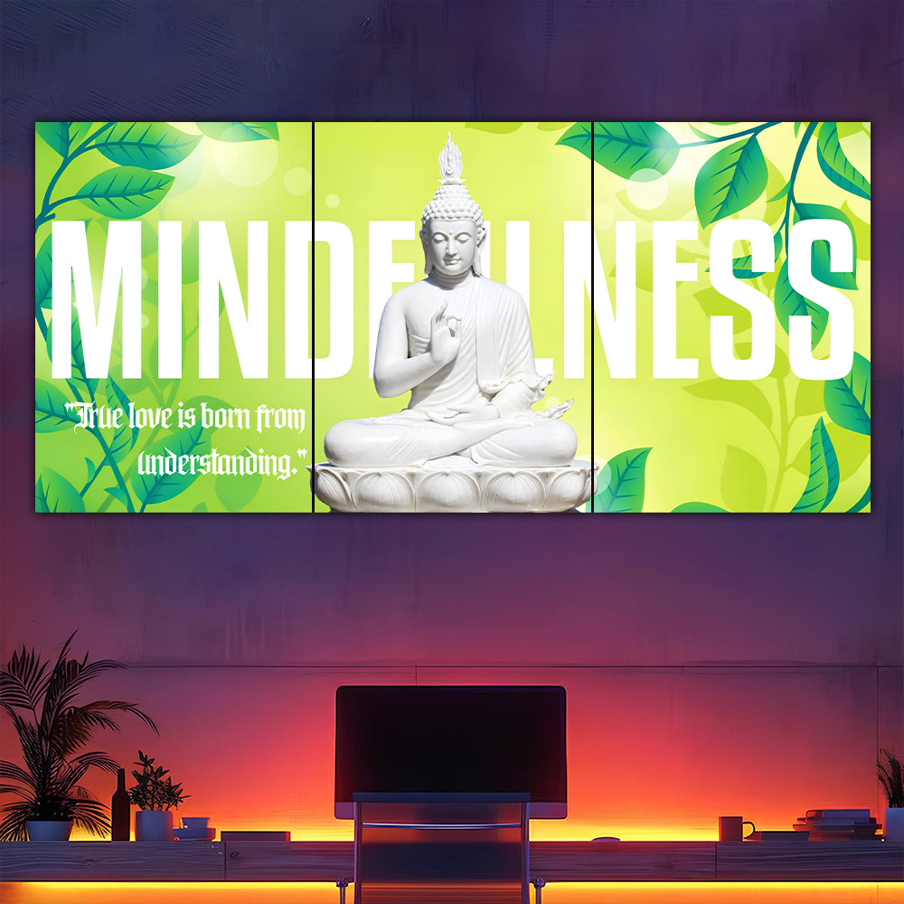 Mindfulness Split Poster