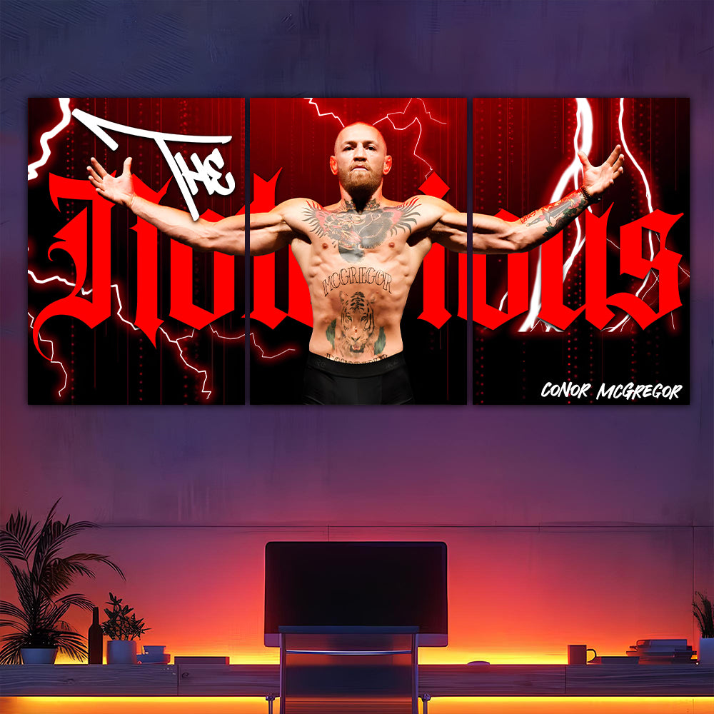 The Notorious Conor Mcgregor Split Poster