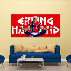 Erling Haaland Split Poster